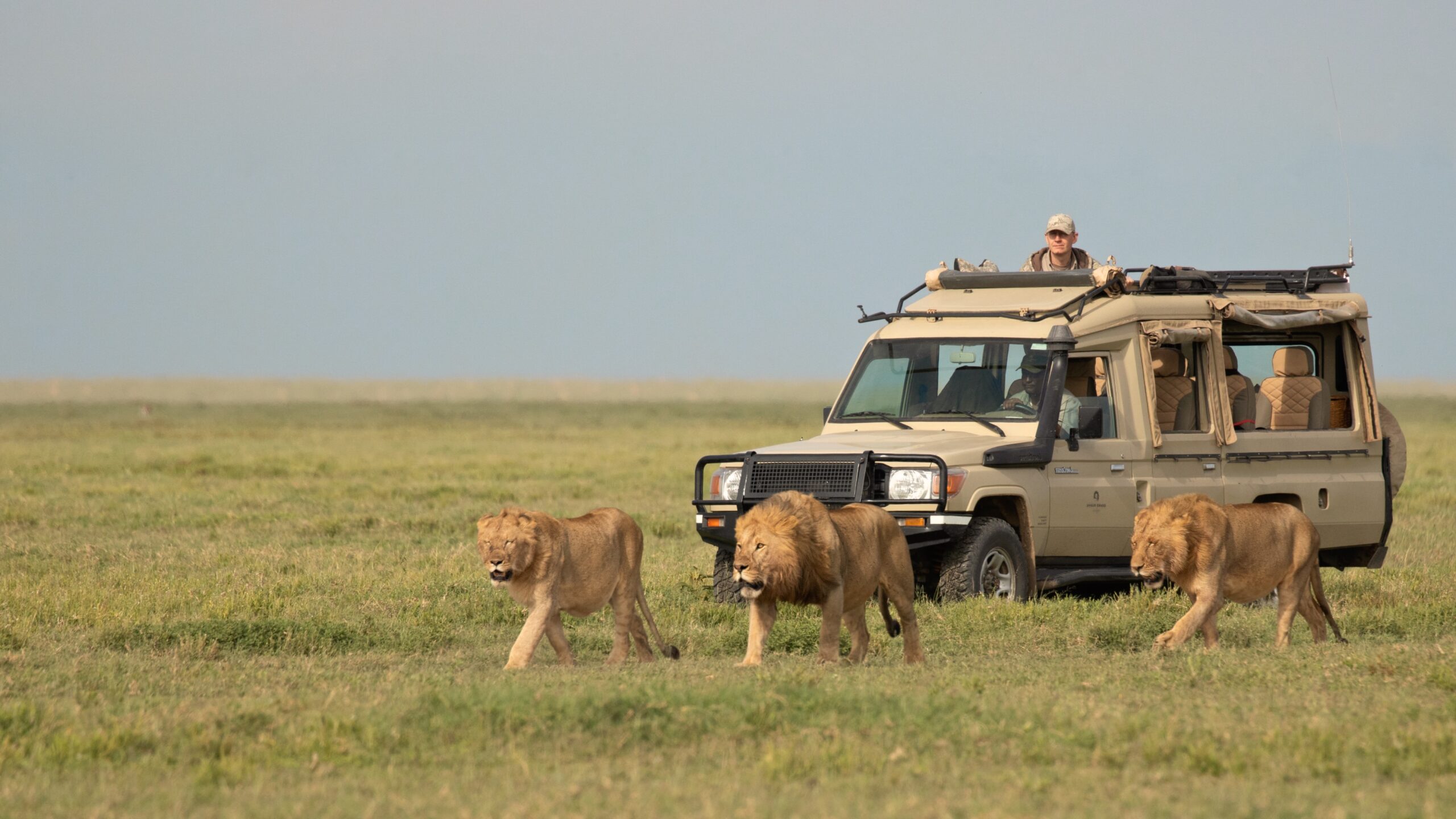 Serengeti national park